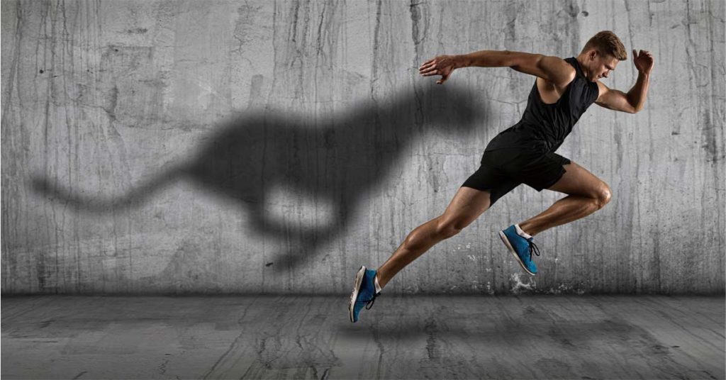 Hiçbir şey değişmezse, hiçbir şey değişmez!